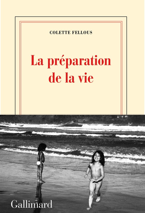 ebook cover of La préparation de la vie, by Colette Fellous