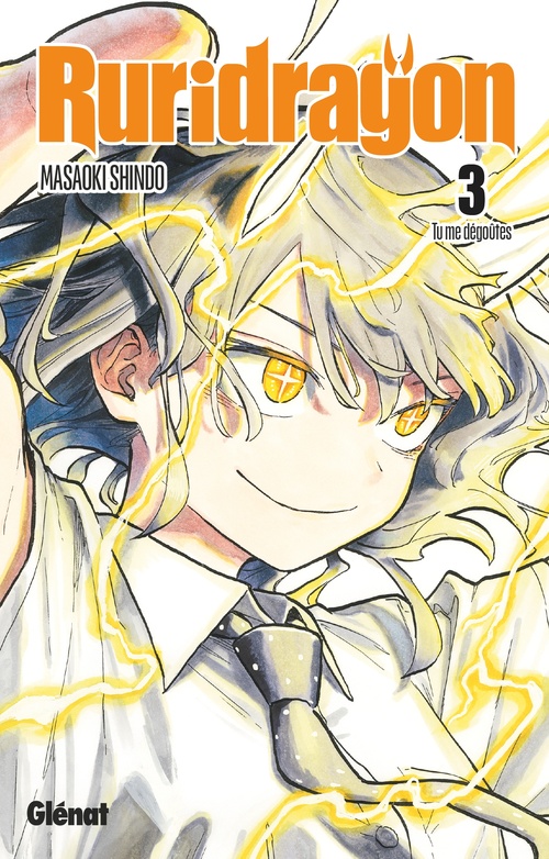 ebook cover of Ruridragon - Tome 03, by Masaoki Shindo