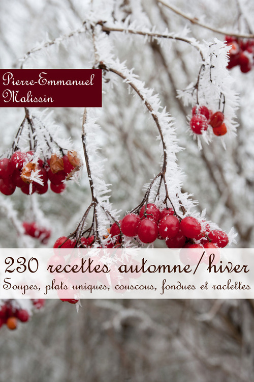 ebook cover of 230 recettes automne/hiver, by Pierre-emmanuel Malissin