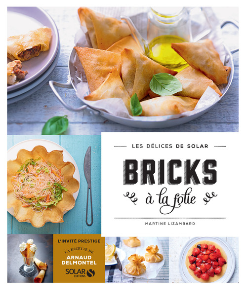 Couverture ebook de Bricks à la folie - Les délices de Solar, de Martine Lizambard