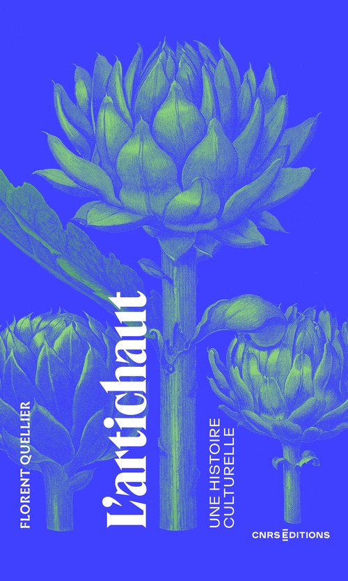 ebook cover of L'artichaut. Une histoire culturelle, by Florent Quellier