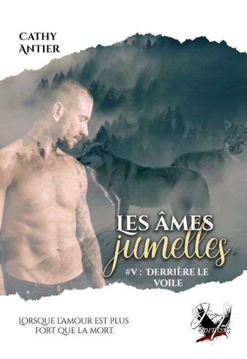 Couverture ebook de Les âmes jumelles - Tome 5, de Cathy Antier