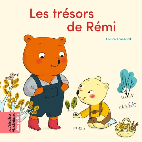 Couverture ebook de Les trésors de Rémi, de Claire Frossard