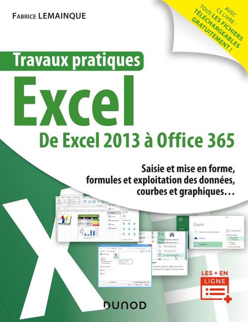 ebook cover of Travaux pratiques - Excel - Toutes versions 2013 à 2019 et Office 365, by Fabrice Lemainque