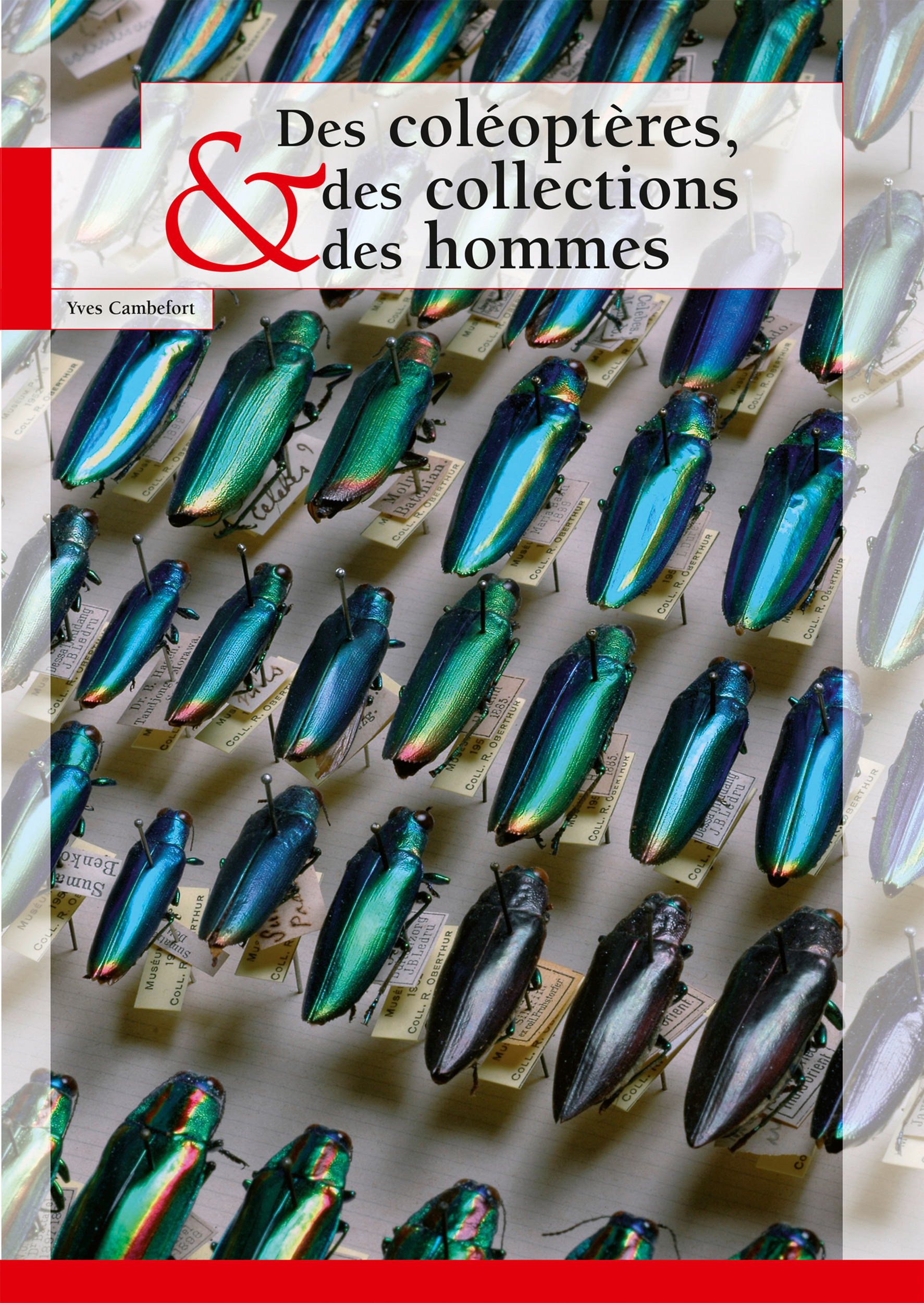 Couverture ebook de Des coléoptères, des collections et des hommes, de Yves Cambefort