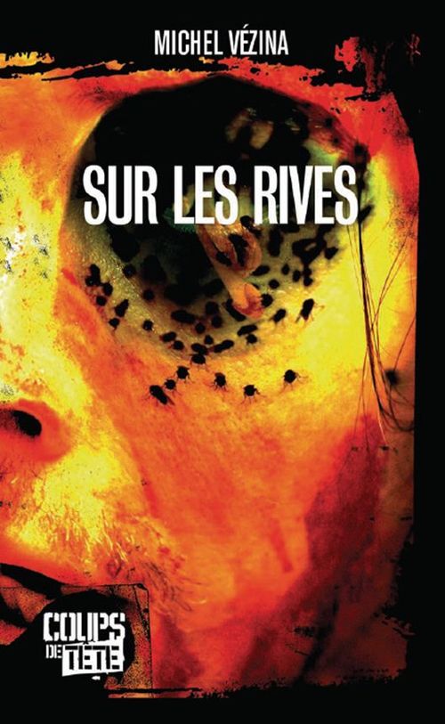 ebook cover of Sur les rives, by Michel Vézina