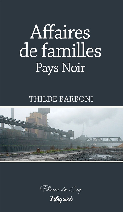 Couverture ebook de Affaires de familles, de Thilde Barboni