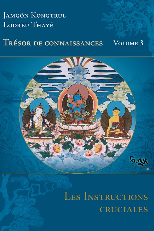 ebook cover of Les Instructions cruciales, by Jamgön Kongtrul Lodreu Thayé