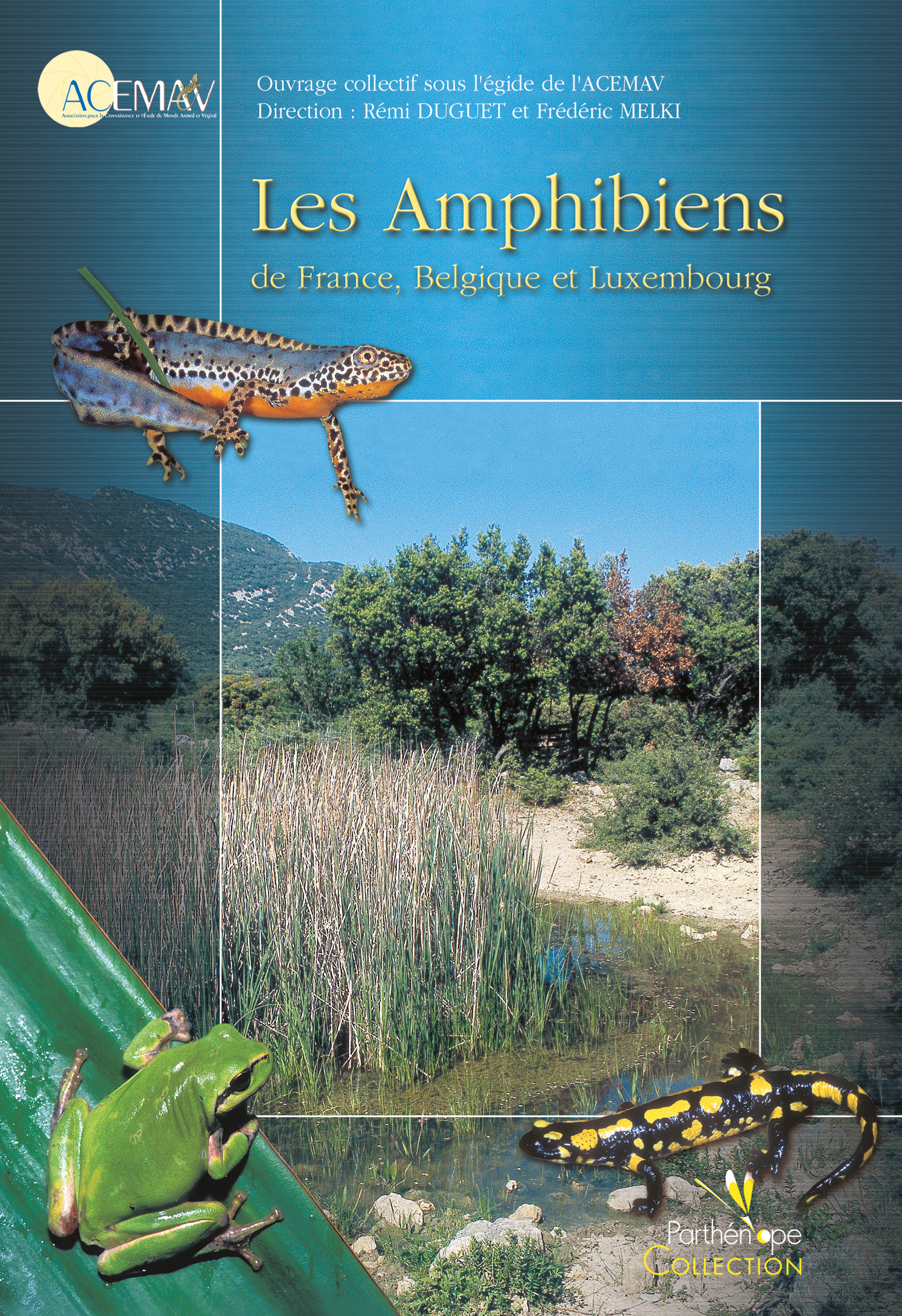 Couverture ebook de Les Amphibiens de France, Belgique et Luxembourg, de Collectif Acemav