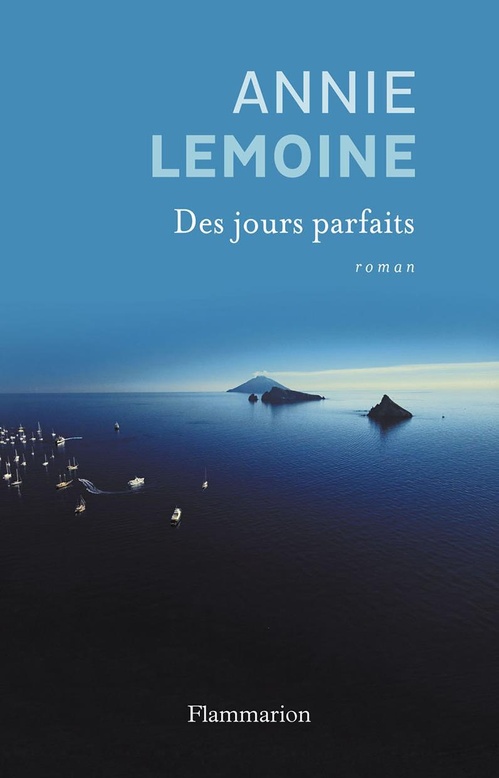 Couverture ebook de Des jours parfaits, de Annie Lemoine