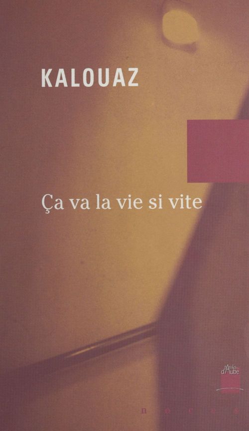 Couverture ebook de Ça va la vie si vite, de Ahmed Kalovaz