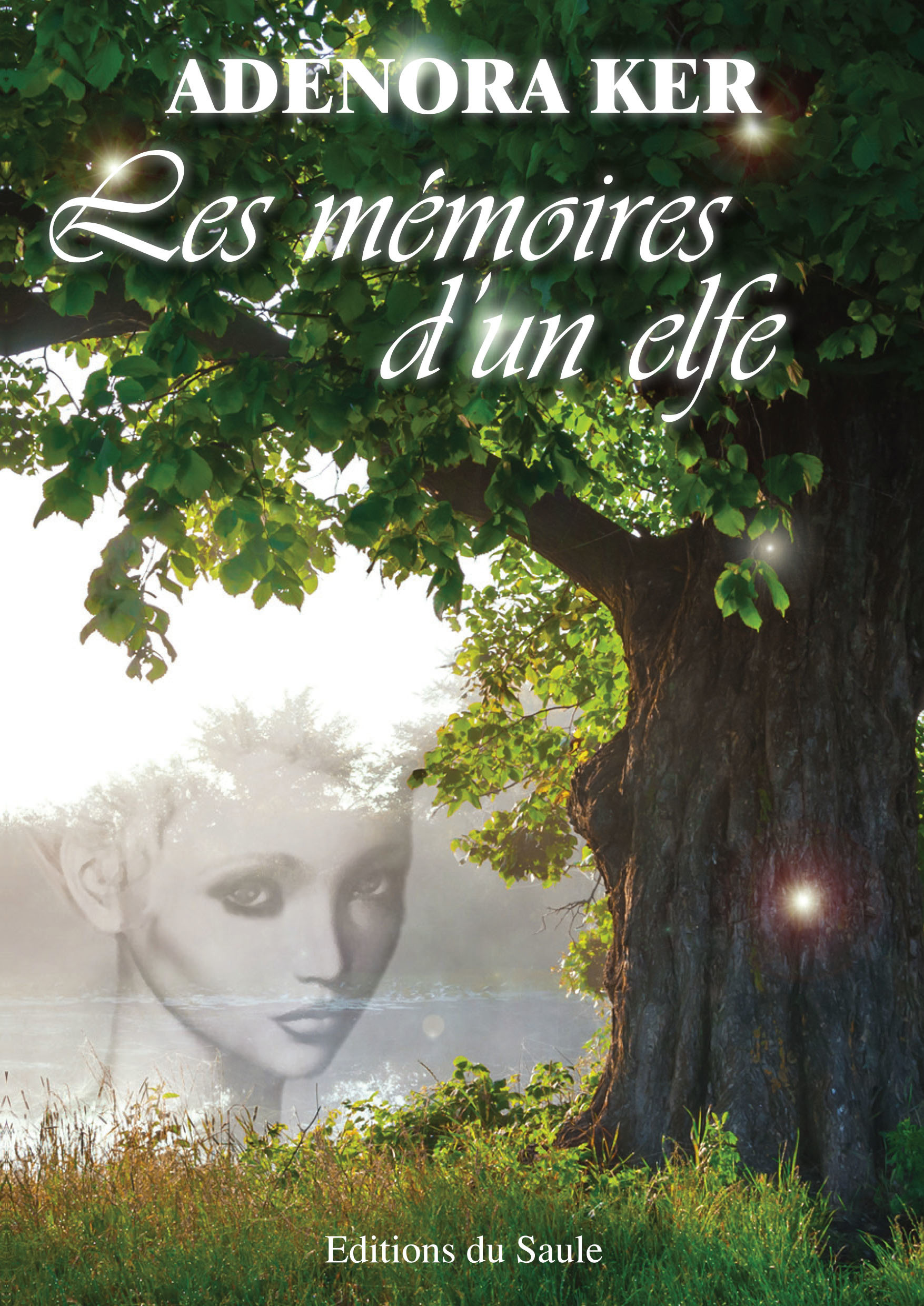 ebook cover of Les mémoires d'un elfe, by Ker Adenora