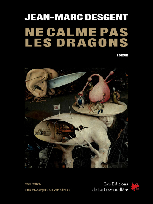 Couverture ebook de Ne calme pas les dragons, de Jean-Marc Desgent