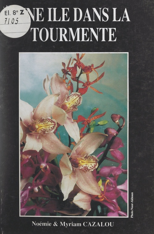 ebook cover of Une île dans la tourmente, by Myriam Cazalou, Noemie Cazalou
