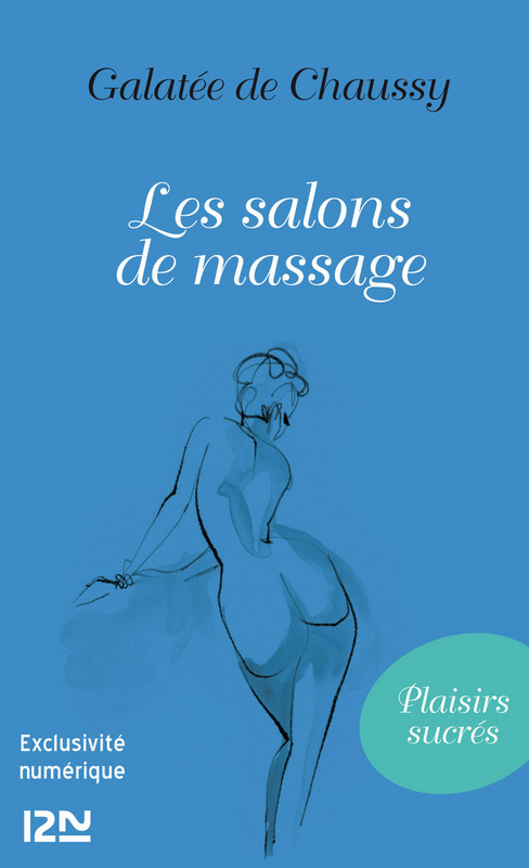 ebook cover of Les salons de massage, by Galatée de Chaussy