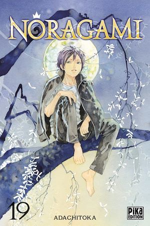 ebook cover of Noragami T19, by Adachitoka