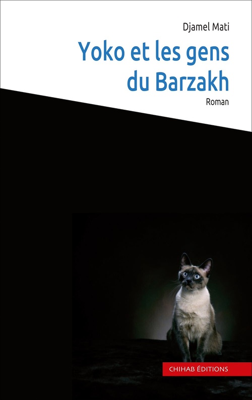 Couverture ebook de Yoko et les gens du barzakh, de Djamel Mati