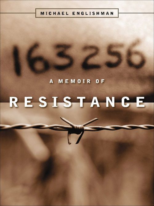 Couverture ebook de 163256, de Michael Englishman