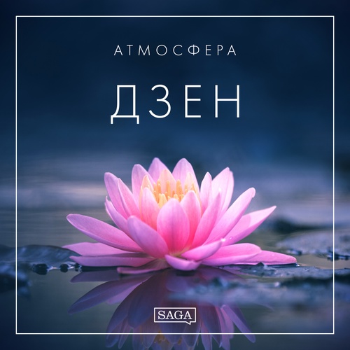 audiobook cover of -, by Rasmus Broe
