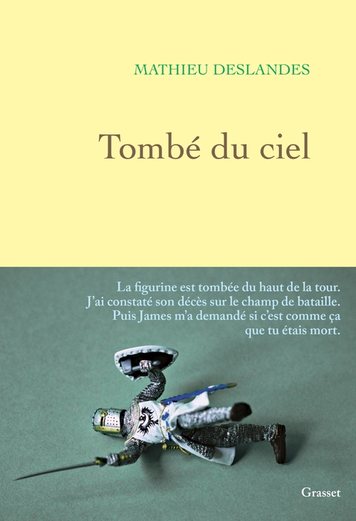 Couverture ebook de Tombé du ciel, de Mathieu Deslandes