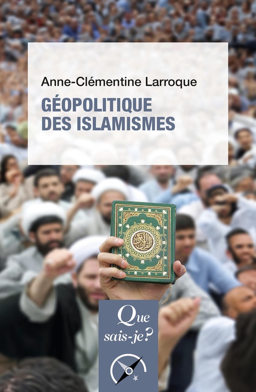 ebook cover of Géopolitique des islamismes, by Anne-Clémentine Larroque