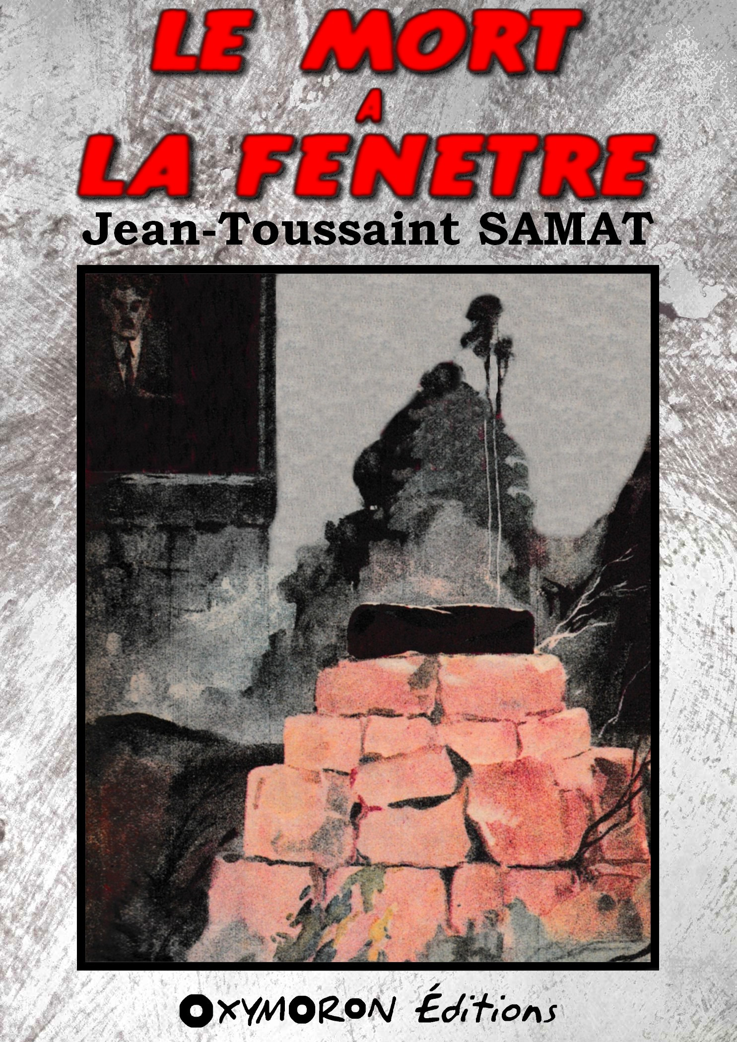 ebook cover of Le mort à la fenêtre, by Jean-toussaint Samat