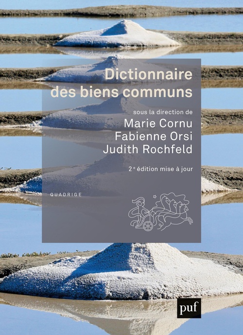 Couverture ebook de Dictionnaire des biens communs, de Marie Cornu-volatron, Fabienne Orsi, Judith Rochfeld