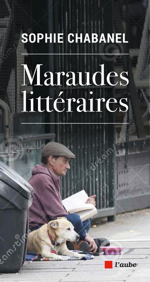 ebook cover of Maraudes littéraires, by Sophie Chabanel