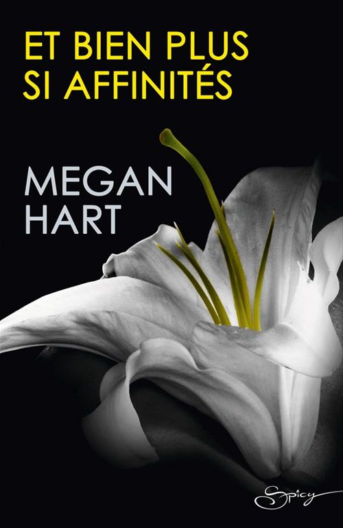 ebook cover of Et bien plus si affinités, by Megan Hart