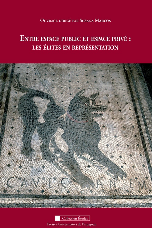 ebook cover of Entre espace public et espace privé : les élites en représentation, by