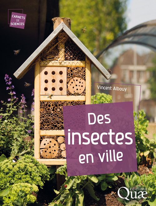 ebook cover of Des insectes en ville, by Vincent Albouy