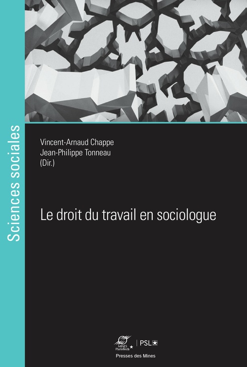 ebook cover of Le droit du travail en sociologue, by