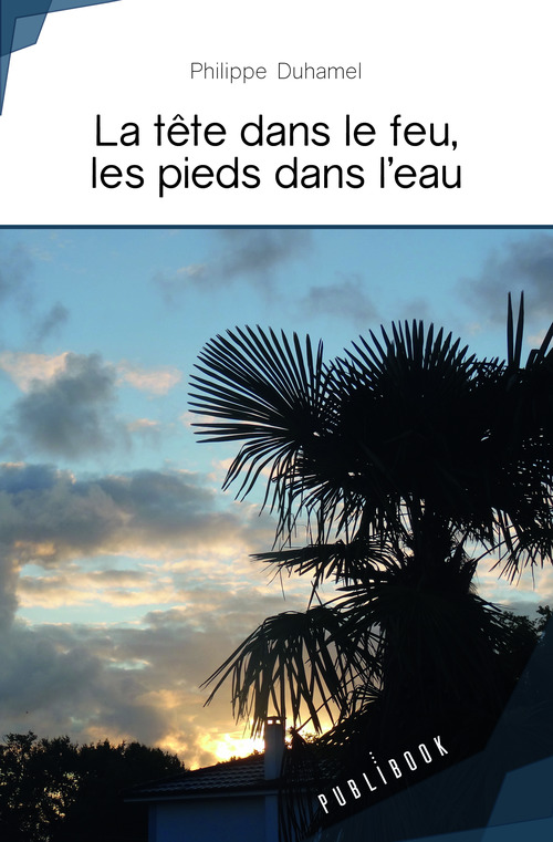 ebook cover of La tête dans le feu, les pieds dans l'eau, by Philippe Duhamel