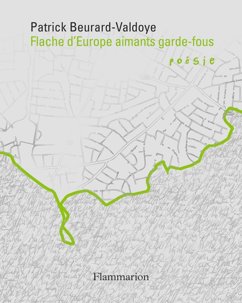 Couverture ebook de Cycle des exils (VII) - Flache d´Europe aimants garde-fous, de Patrick Beurard-valdoye