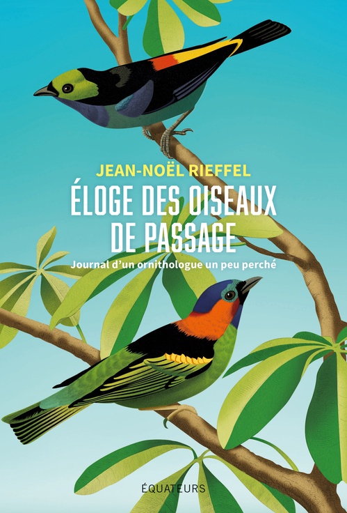 Couverture ebook de Éloge des oiseaux de passage : Journal d´un ornithologue un peu perché, de Jean-Noël Rieffel