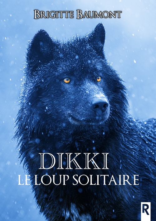 ebook cover of Dikki, le loup solitaire, by Brigitte Baumont