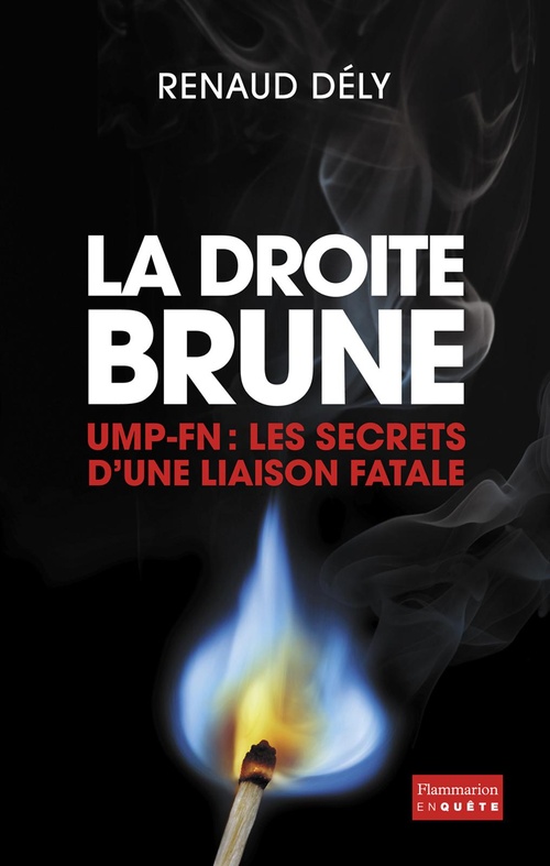 Couverture ebook de La Droite brune, de Renaud Dély