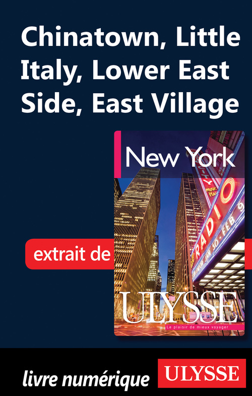 ebook cover of Manhattan : Chinatown, Little Italy, Lower East Side, East Village, by Collectif