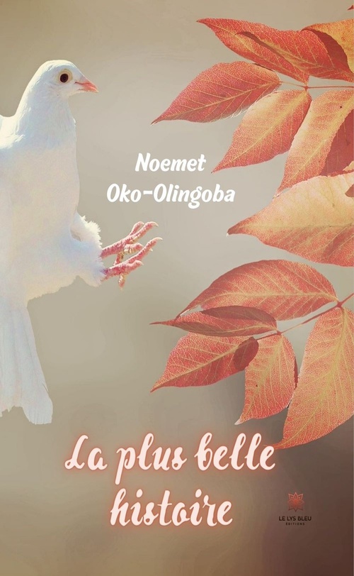ebook cover of La plus belle histoire, by Noemet-Lanzorod Oko-Olingoba