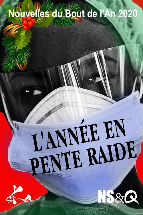 ebook cover of L'Année en pente raide, by Recueil Collectif