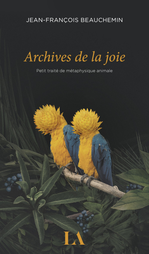 ebook cover of Archives de la joie, by Beauchemin Jean-Fran