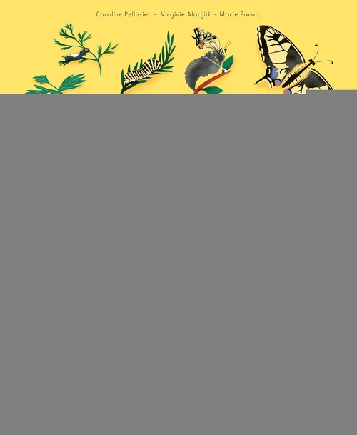 ebook cover of Mon Larousse Illustré - La nature, by Caroline Pellissier, Virginie Aladjidi