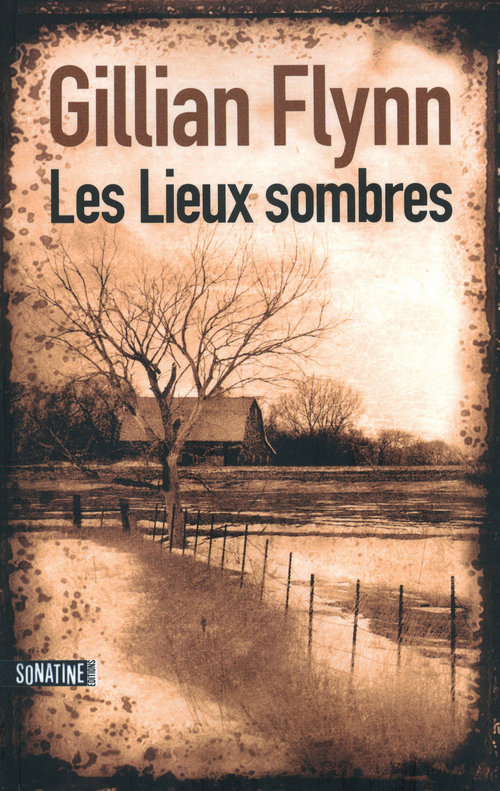 ebook cover of Les Lieux sombres, by Gillian Flynn