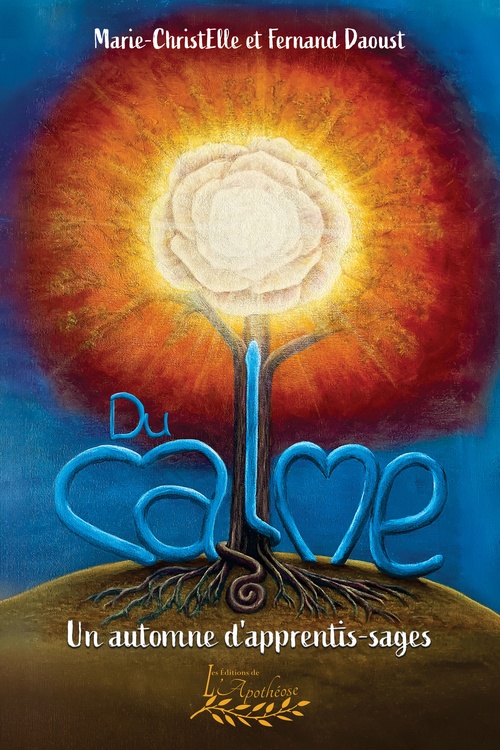 ebook cover of Du calme, by Fernand Daoust, Marie-ChristElle .
