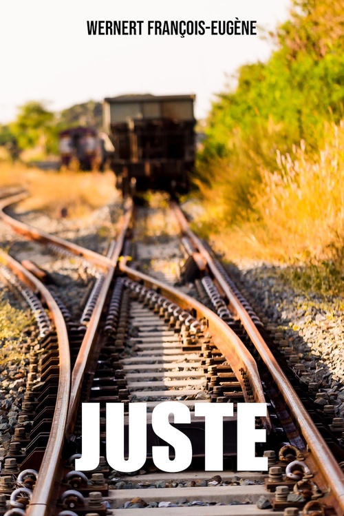 ebook cover of JUSTE, by François-Eugène Wernert