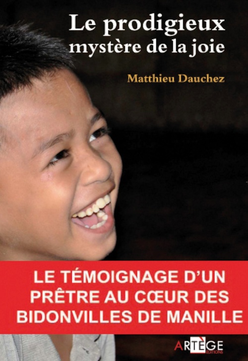 Couverture ebook de Le prodigieux mystère de la joie, de Matthieu Dauchez