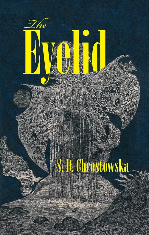 Couverture ebook de The Eyelid, de S.D. Chrostowska