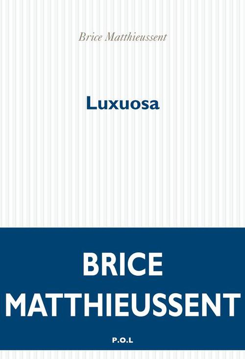 ebook cover of Luxuosa, by Brice Matthieussent