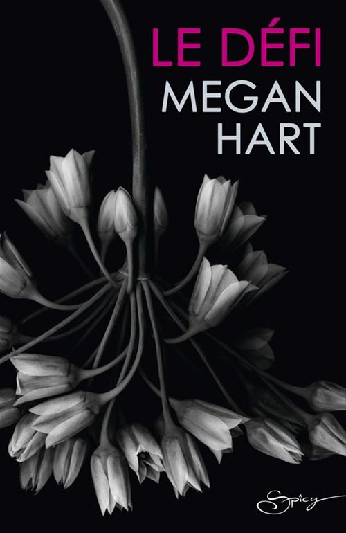 ebook cover of Le défi, by Megan Hart
