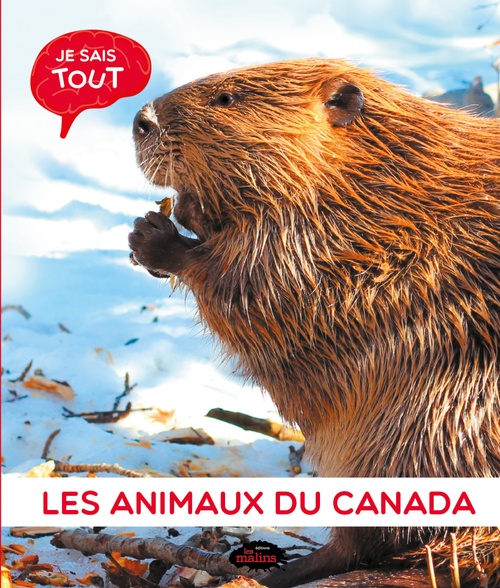 Couverture ebook de Je sais tout: Les animaux du Canada, de Jessica Lupien